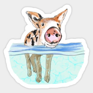 Bahamas Floating Swimming Piglet Sticker